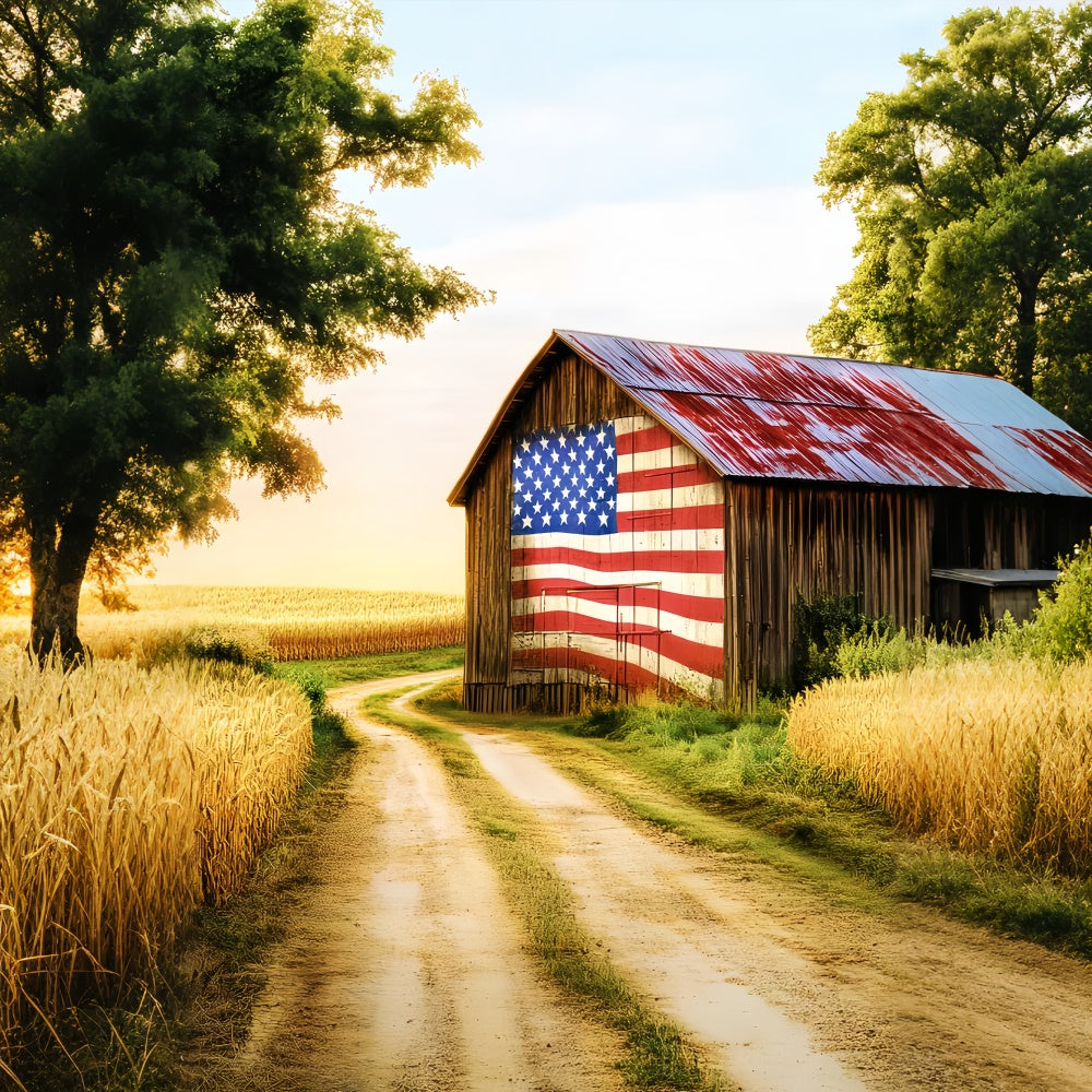 Rustic Barn Backdrop Patriotic Farm Barn Backdrop UK LXX57-387