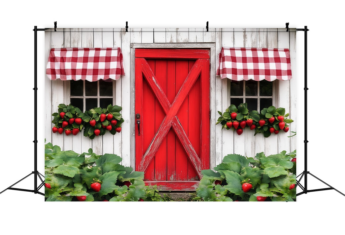 Rustic Barn Backdrop Country Berry Window Backdrop UK LXX57-408