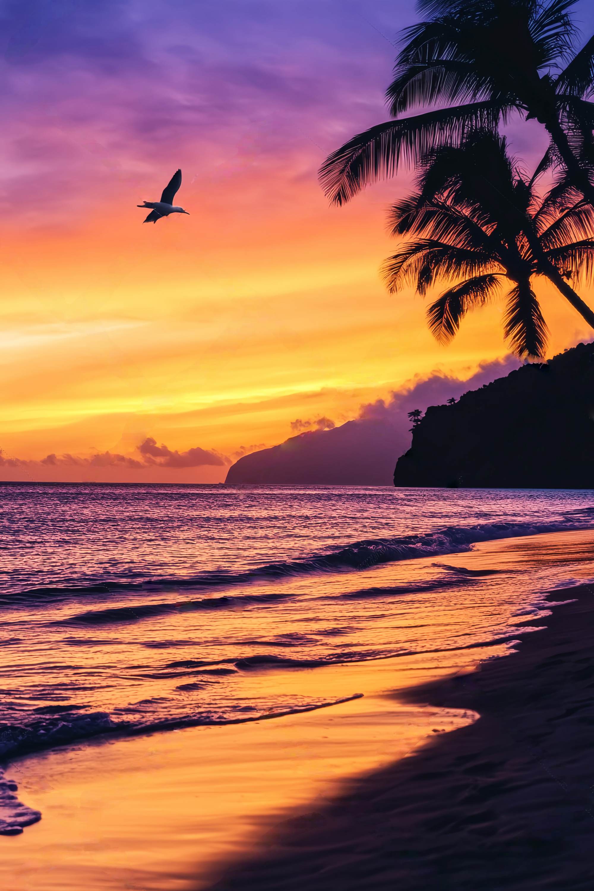 Fall Backdrop Tropical Sunset Palm Silhouette Sunset Backdrop UK LXX58-163