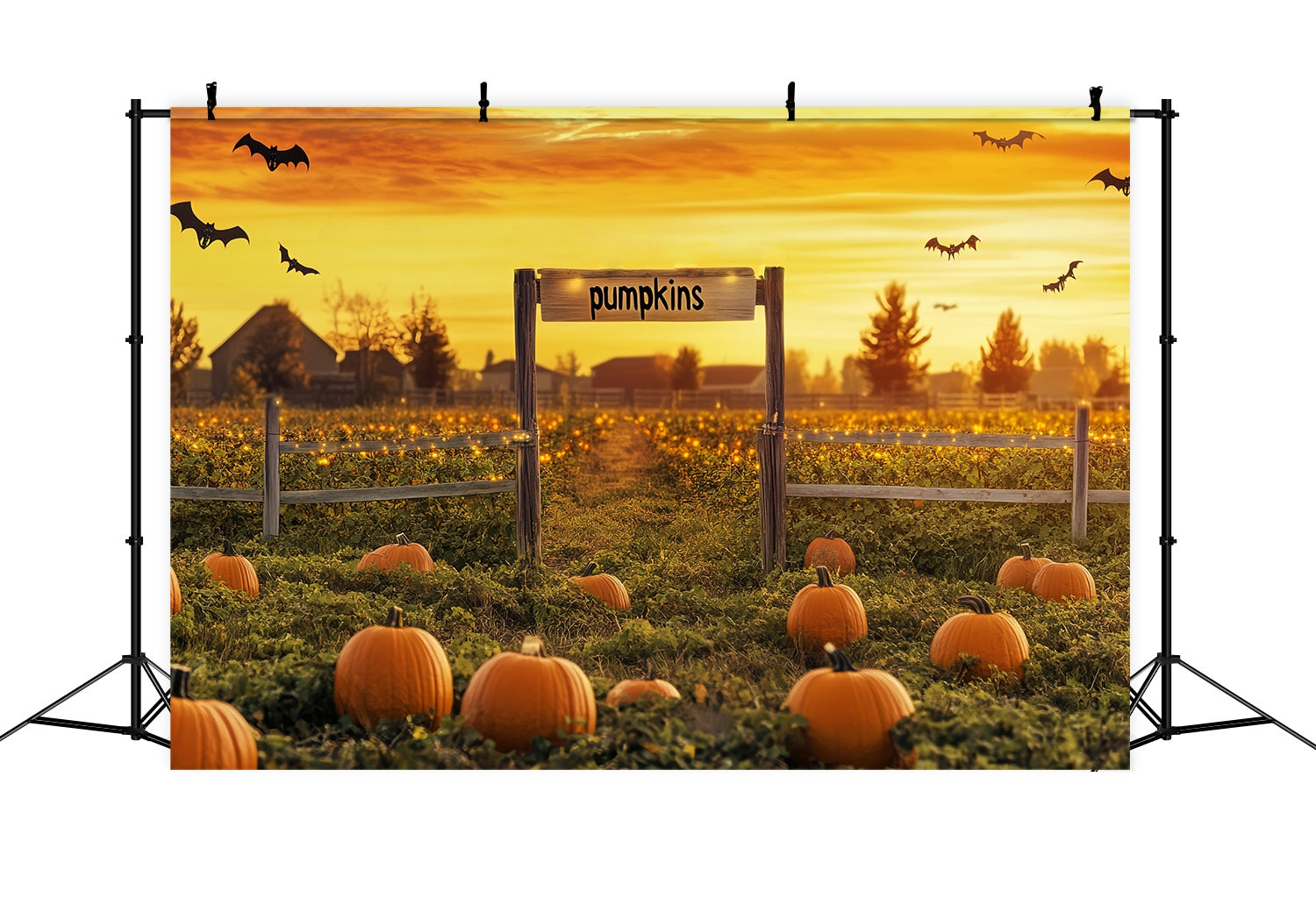 Fall Photo Backdrop Pumpkin Patch Sunset Bats Sunset Backdrop UK LXX58-164