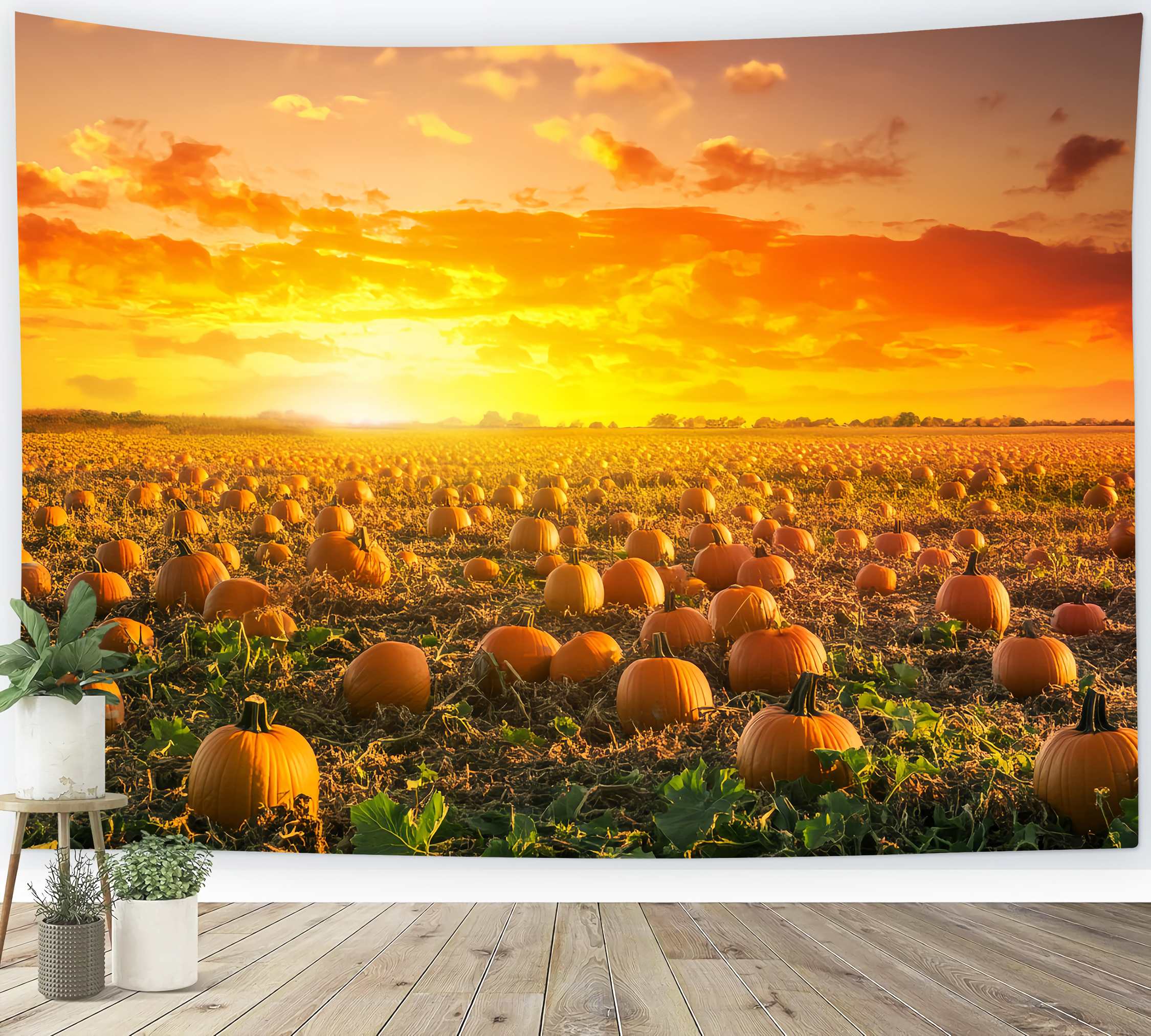 Autumn Fall Backdrop Pumpkin Field Golden Sunset Pumpkin Backdrop UK LXX58-166