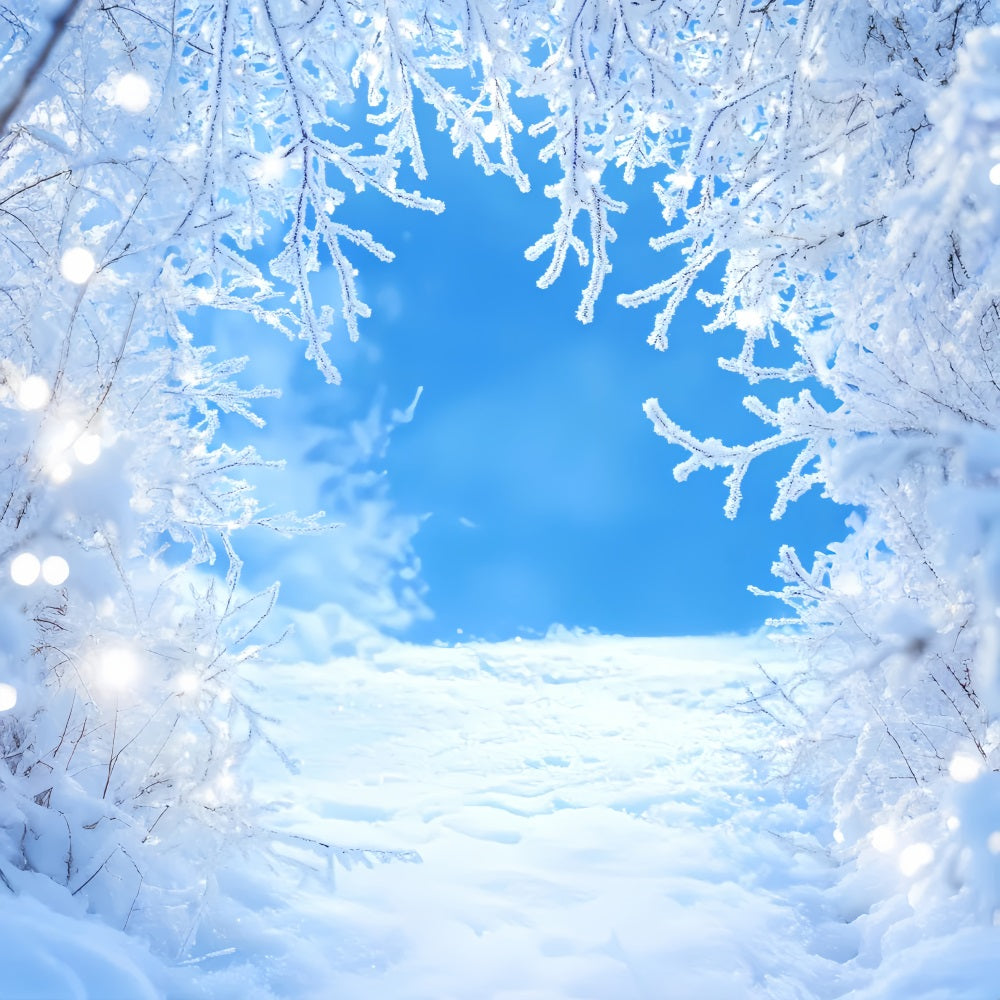 Winter Sky Backdrop Frosty Branches Blue Sky Winter Snow Backdrop UK LXX58-217