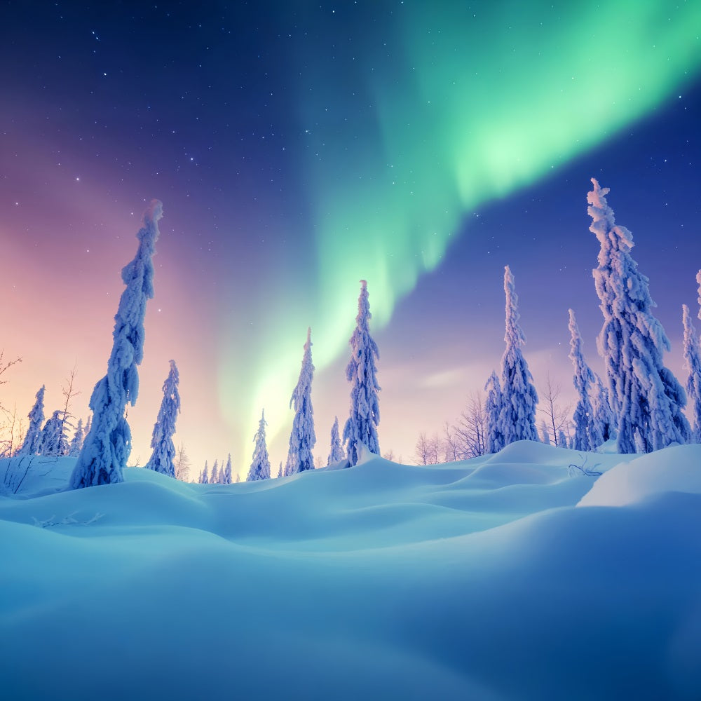 Winter Wonderland Backdrop Aurora Sky Frosted Woods Winter Photo Backdrop UK LXX58-231