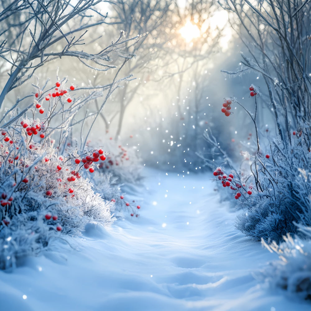 Forest Backdrop Frosted Path Red Winter Berries Winter Backdrop UK LXX58-238