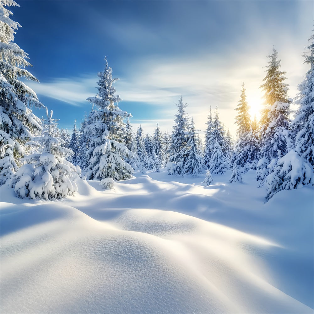 Forest Backdrop Golden Sunrise Snowy Forest Winter Wonderland Backdrops UK LXX58-239