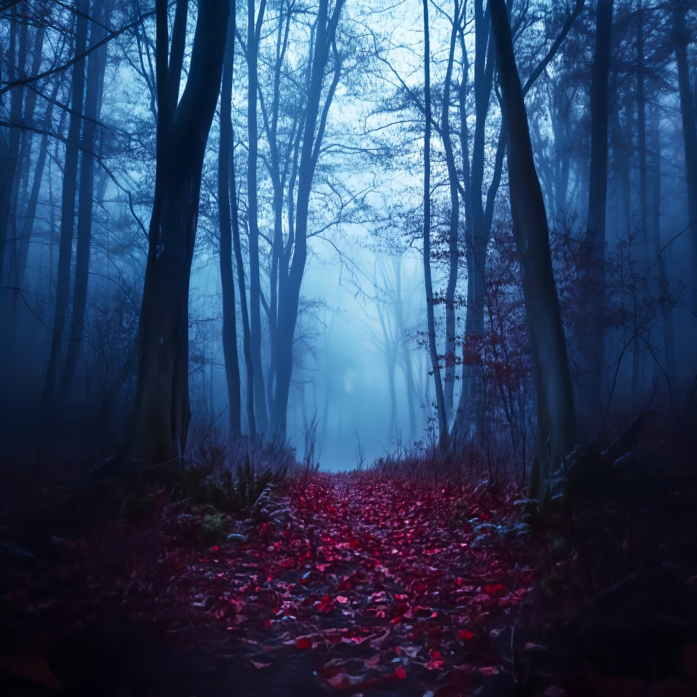Spooky Forest Crimson Path Foggy Woods Forest Backdrop UK LXX58-271