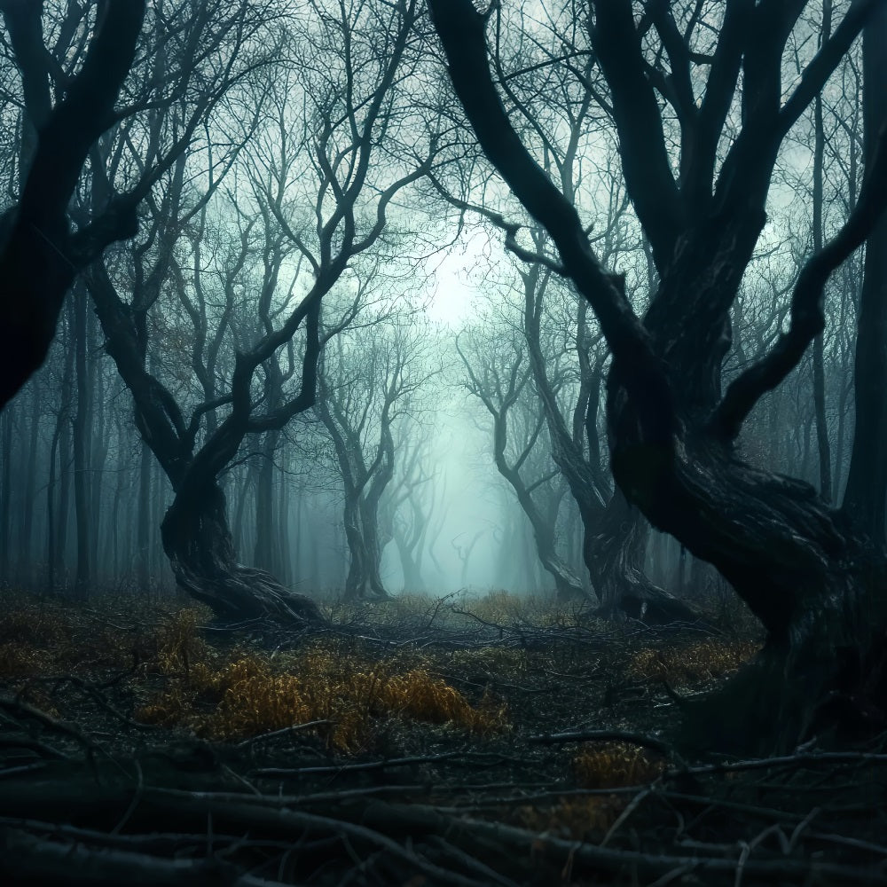 Spooky Forest Twisted Dark Mist Trees Forest Photography Backdrop UK LXX58-273