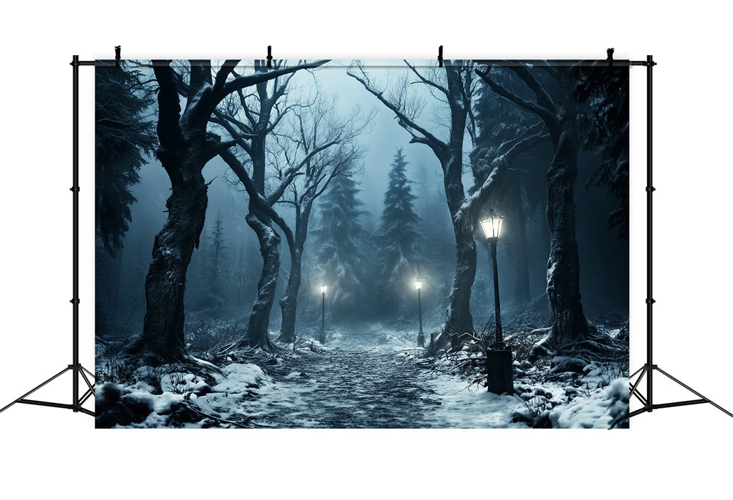 Winter Snowy Forest Snowy Path Lantern Glow Forest Backdrop UK LXX58-274