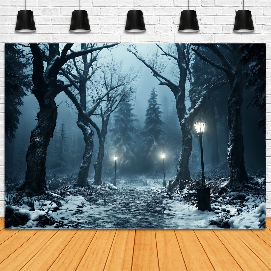 Winter Snowy Forest Snowy Path Lantern Glow Forest Backdrop UK LXX58-274