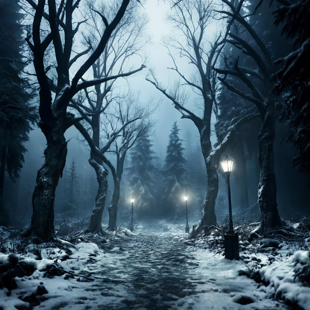 Winter Snowy Forest Snowy Path Lantern Glow Forest Backdrop UK LXX58-274