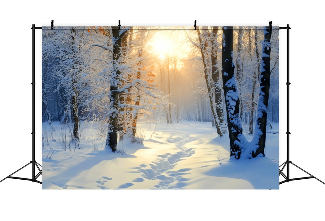 Winter Snowy Forest Golden Sunrise Snow Trail Snow Forest Backdrop UK LXX58-278