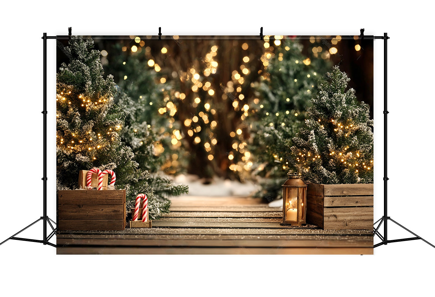 Christmas Tree Backdrop Snowy Pine Pathway Lights Christmas Photography Backdrops UK LXX58-77