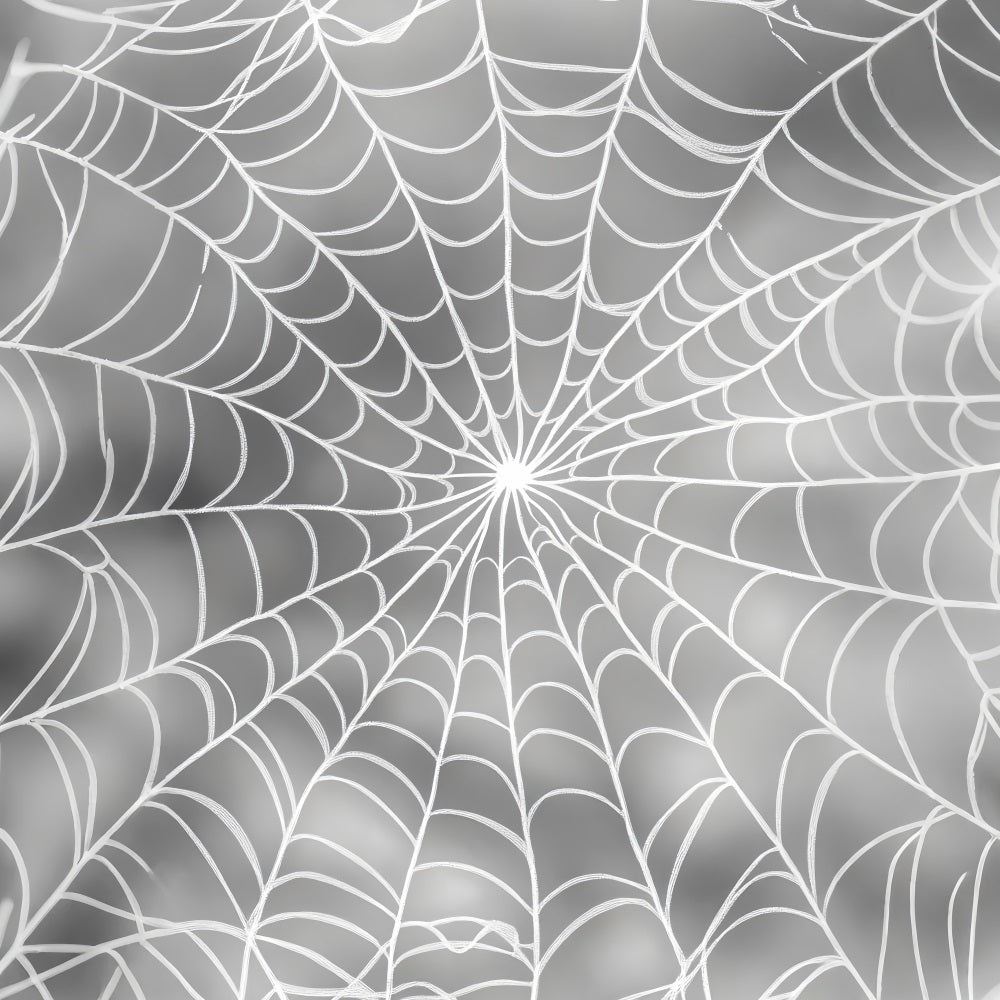 Halloween Color Backdrop Silver Spiderweb Pattern Design Halloween Photo Backdrop UK LXX59-148