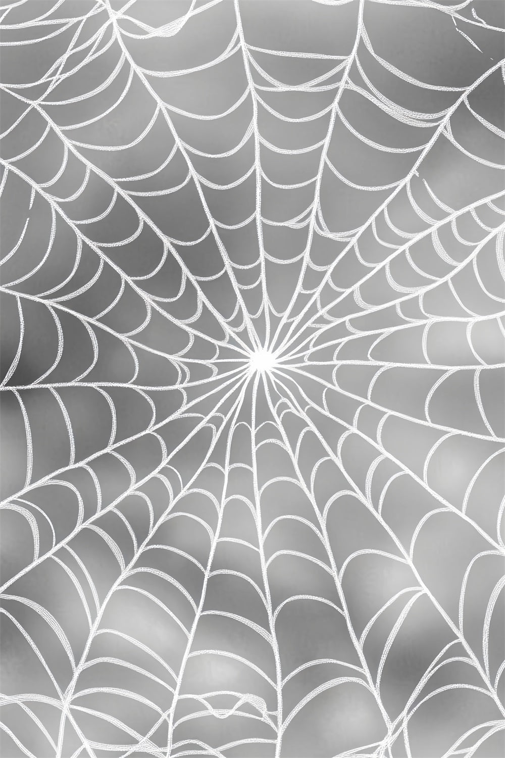 Halloween Color Backdrop Silver Spiderweb Pattern Design Halloween Photo Backdrop UK LXX59-148