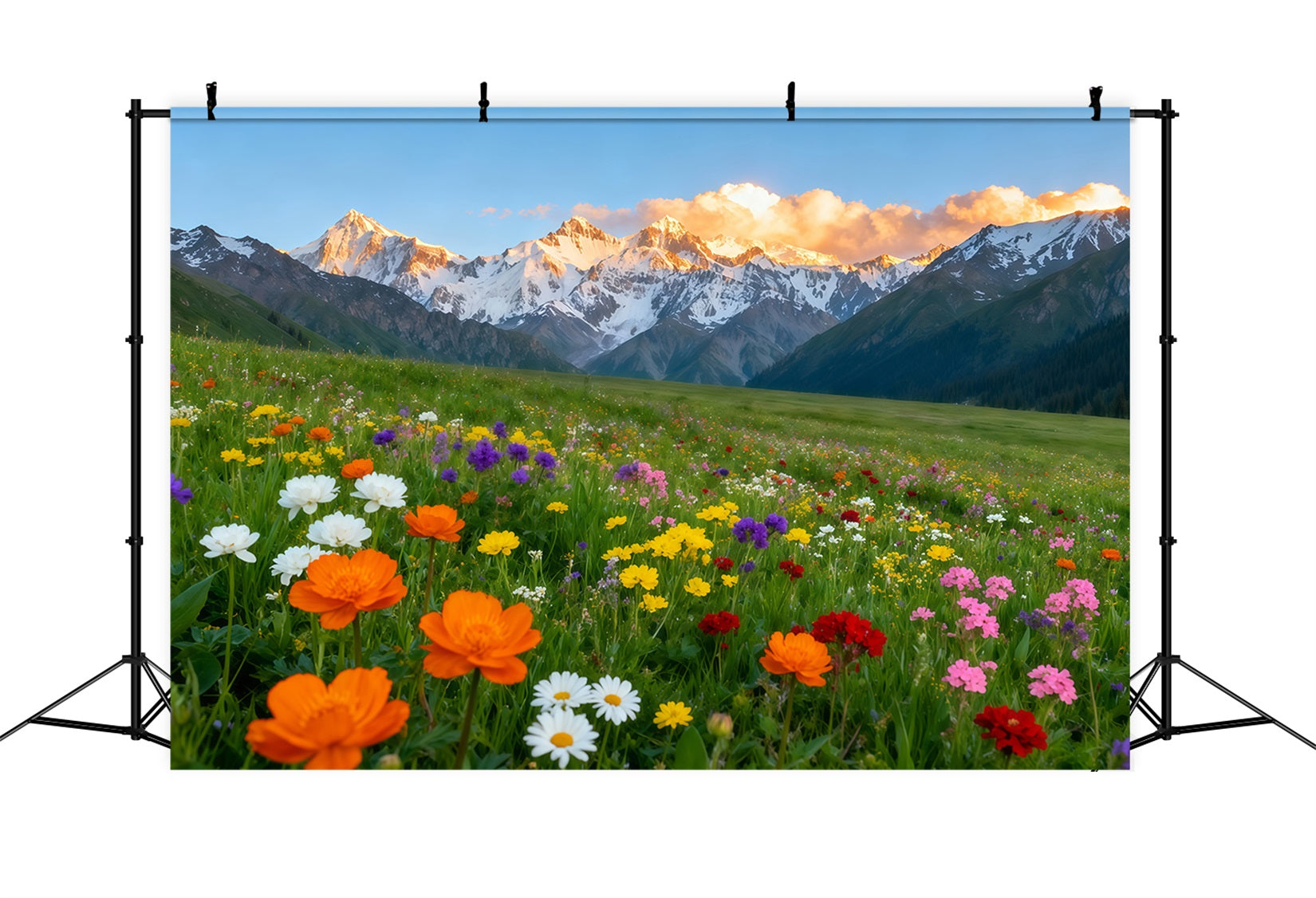 Wildflower Backdrop Alpine Mountain Valley Flower Field Floral Photo Backdrop UK LXX61-178