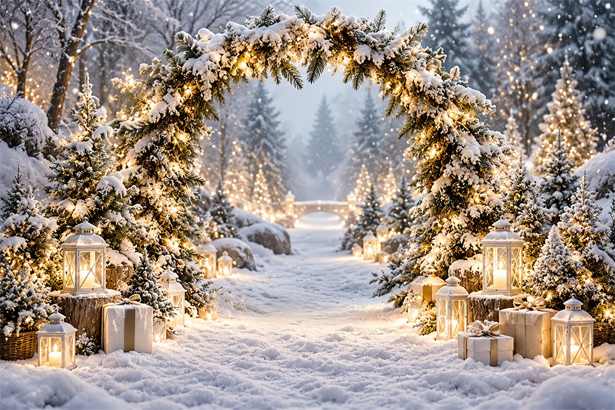 Christmas Backdrops for Photos Snowy Lantern Archway Path Winter Wonderland Christmas Backdrop UK LXX610-169