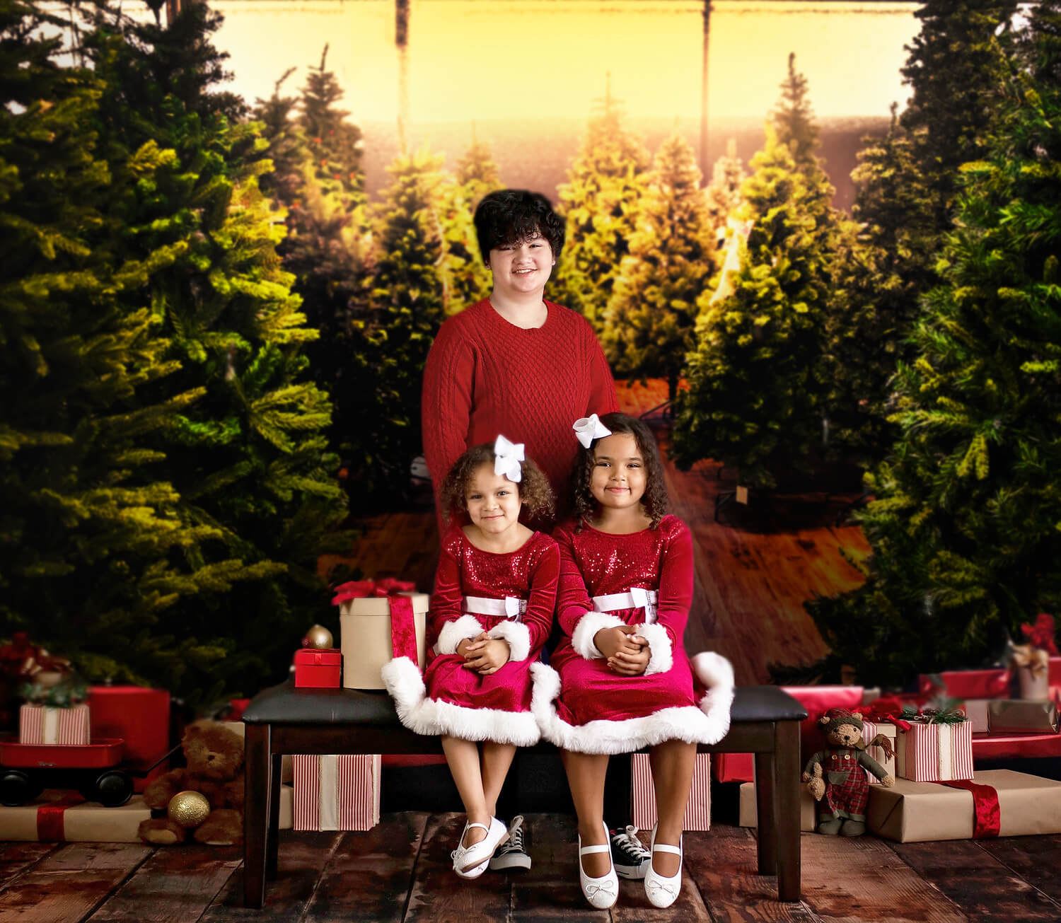 Christmas Trees Farm Backdrop for Photography UK M10-13