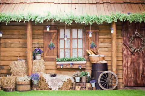 Rustic Cabin Vine Decorative Eaves Purple Lavender Accent Porch Backdrop M2-16