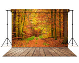 Autumn Forest Maple Trees Photography Backdrop UK M6-100