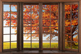 Autumn Marple Leaves Window View Backdrop UK M6-40