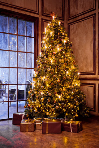 Christmas Tree Window Photography Backdrop UK M7-15