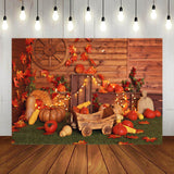 Thanksgiving Pumpkins Autumn Photography Backdrop UK M7-82