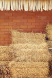 Barn Straw Farm Hay Photography Backdrop UK M7-83