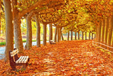 Autumn Maple Leaves Path Photography Backdrop UK M8-29