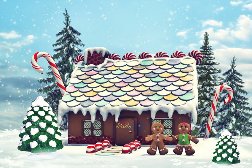Christmas Gingerbread House Photography Backdrop UK M9-23