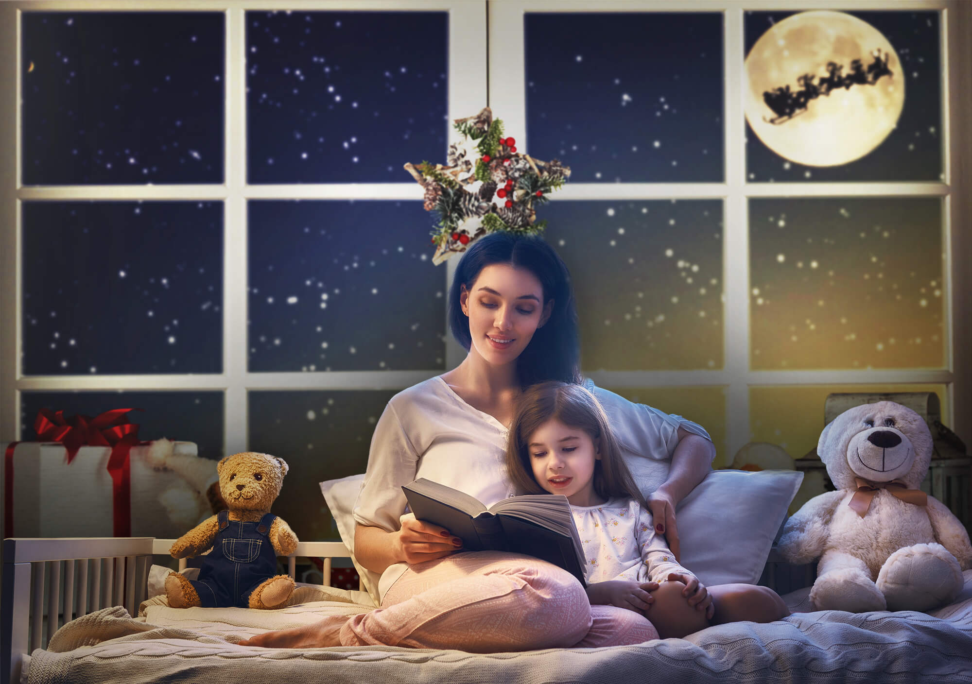 Christmas Window Snowflake Reindeer Backdrop UK M9-72