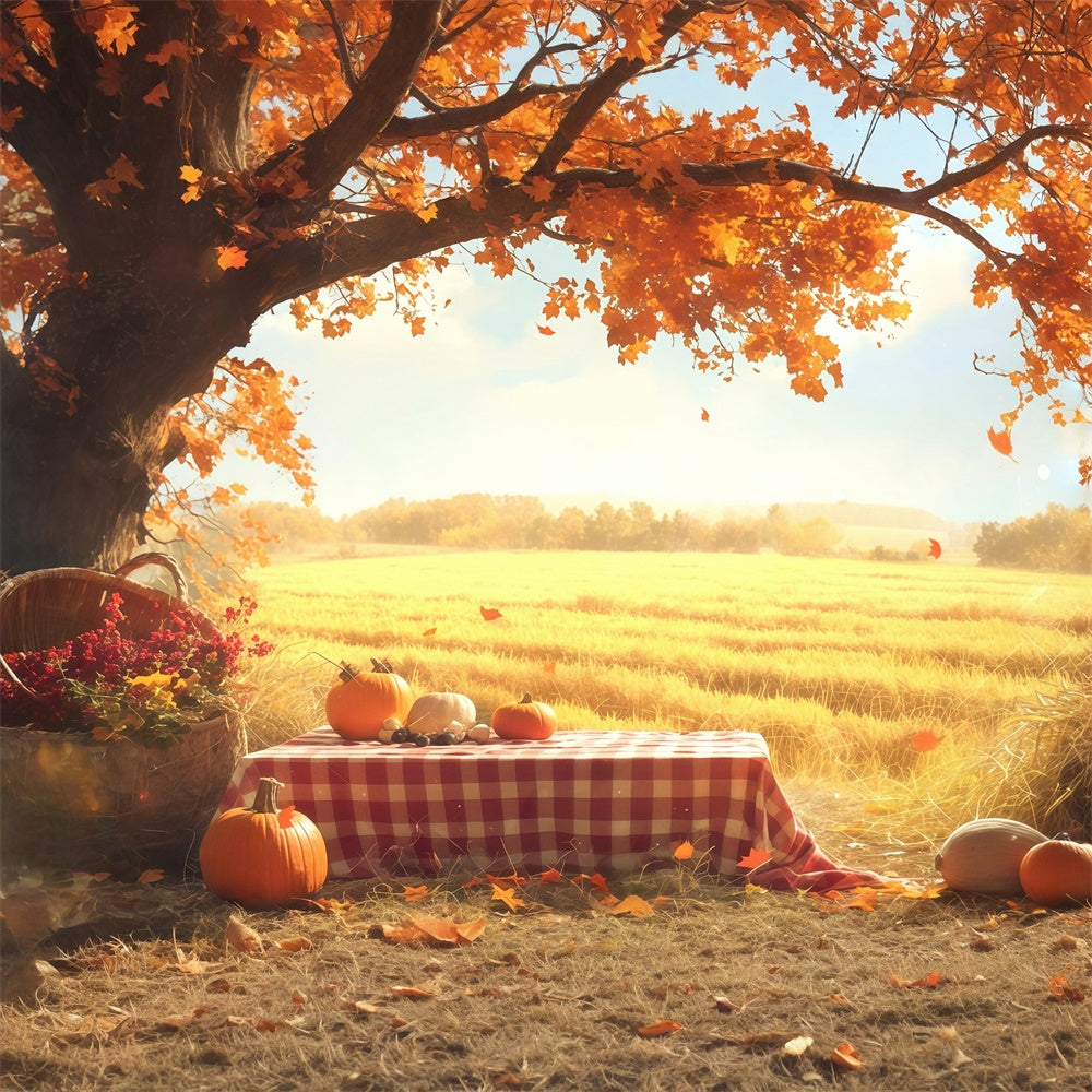Fall Backdrop Golden Field Pumpkin Picnic Backdrop UK MRR7-129