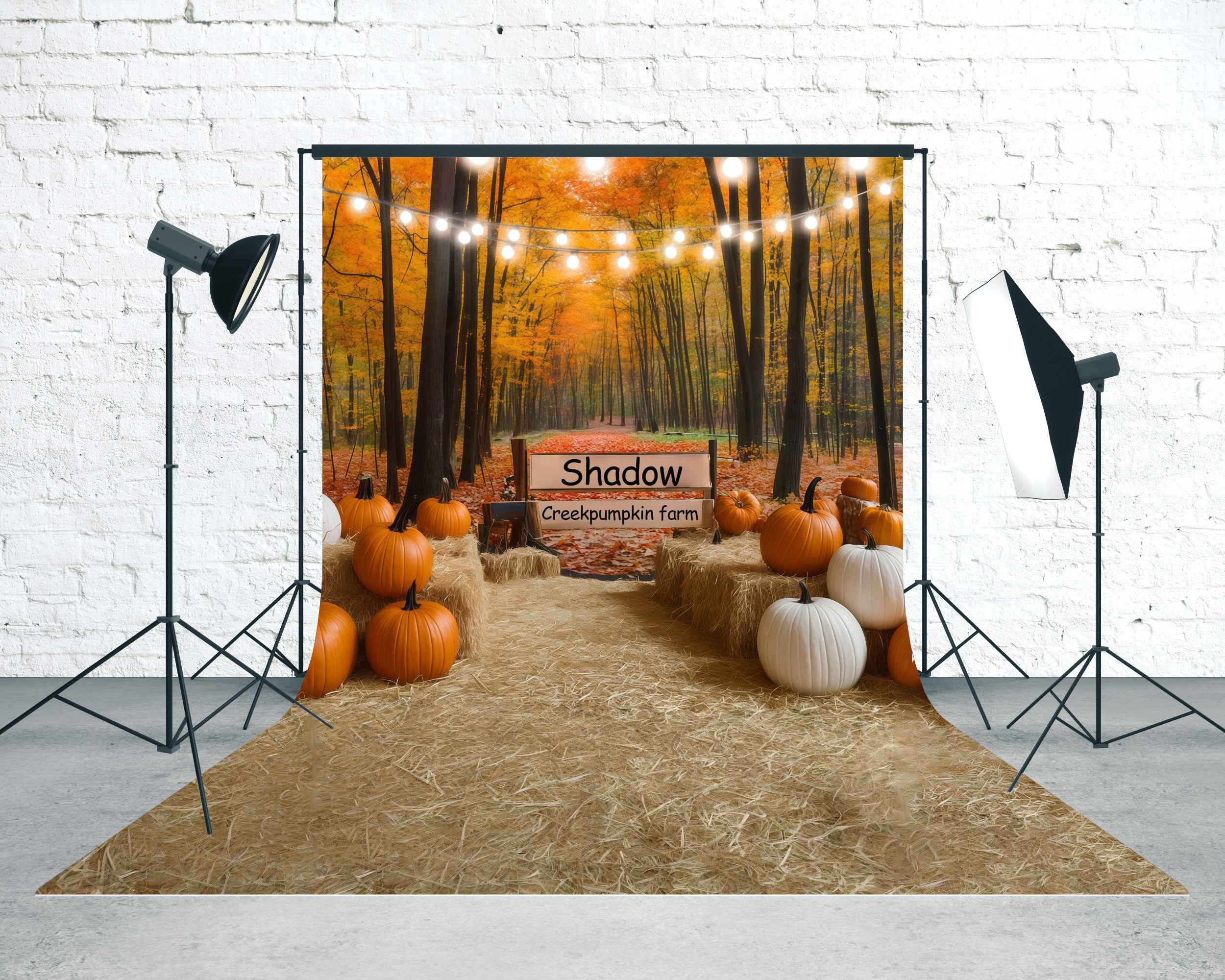 Autumn Backdrop Shadow Creek Pumpkin Farm Sweep Backdrop UK MRR8-74