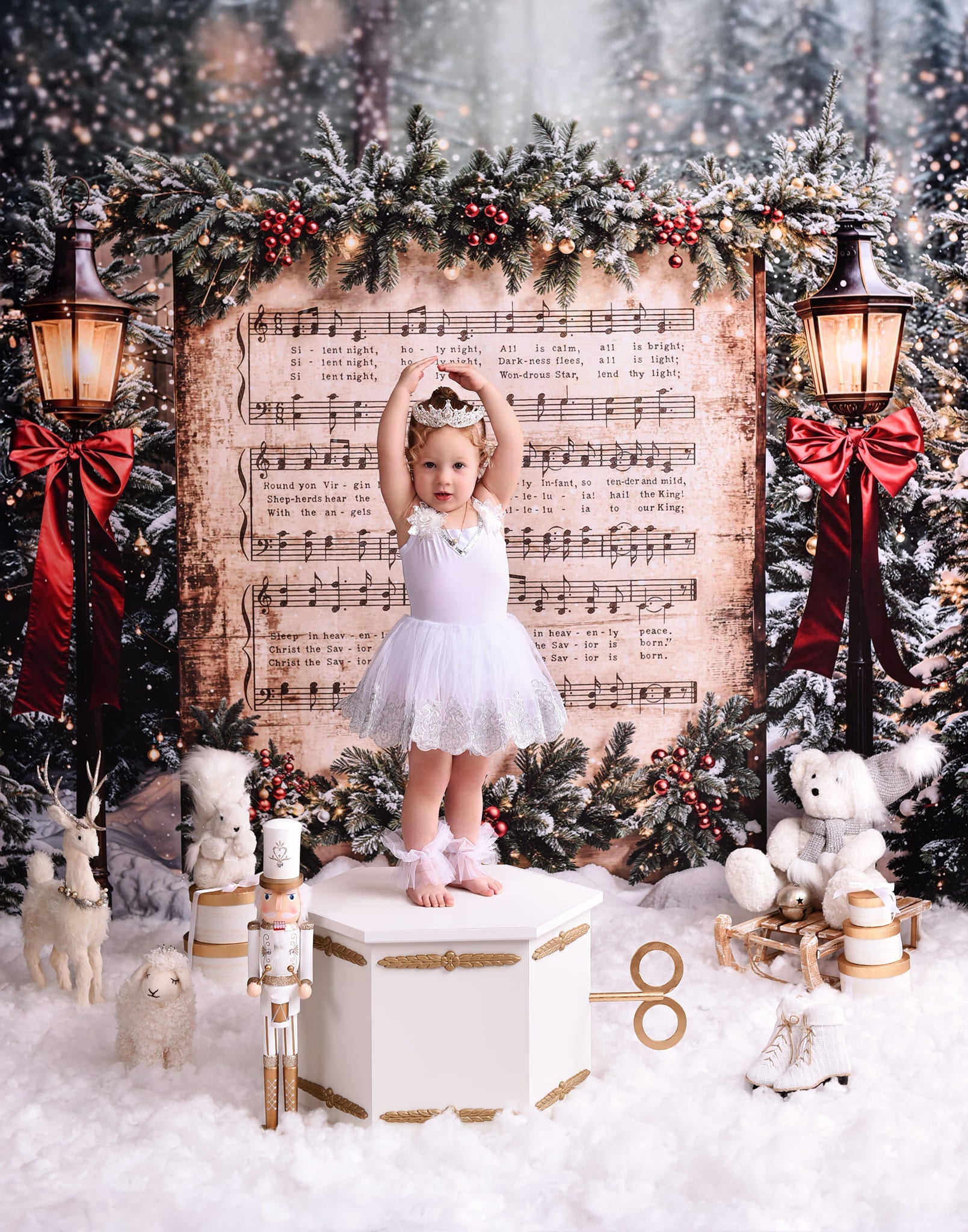 Joy To The World Backdrop Snowy Christmas Carol Music Christmas Backdrop UK MRR9-24