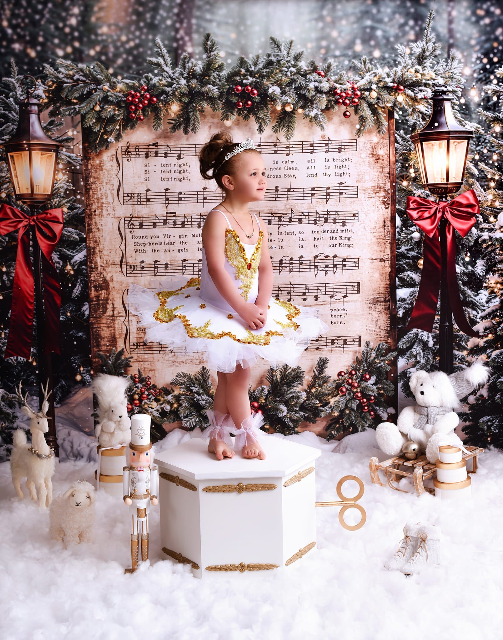 Joy To The World Backdrop Snowy Christmas Carol Music Christmas Backdrop UK MRR9-24