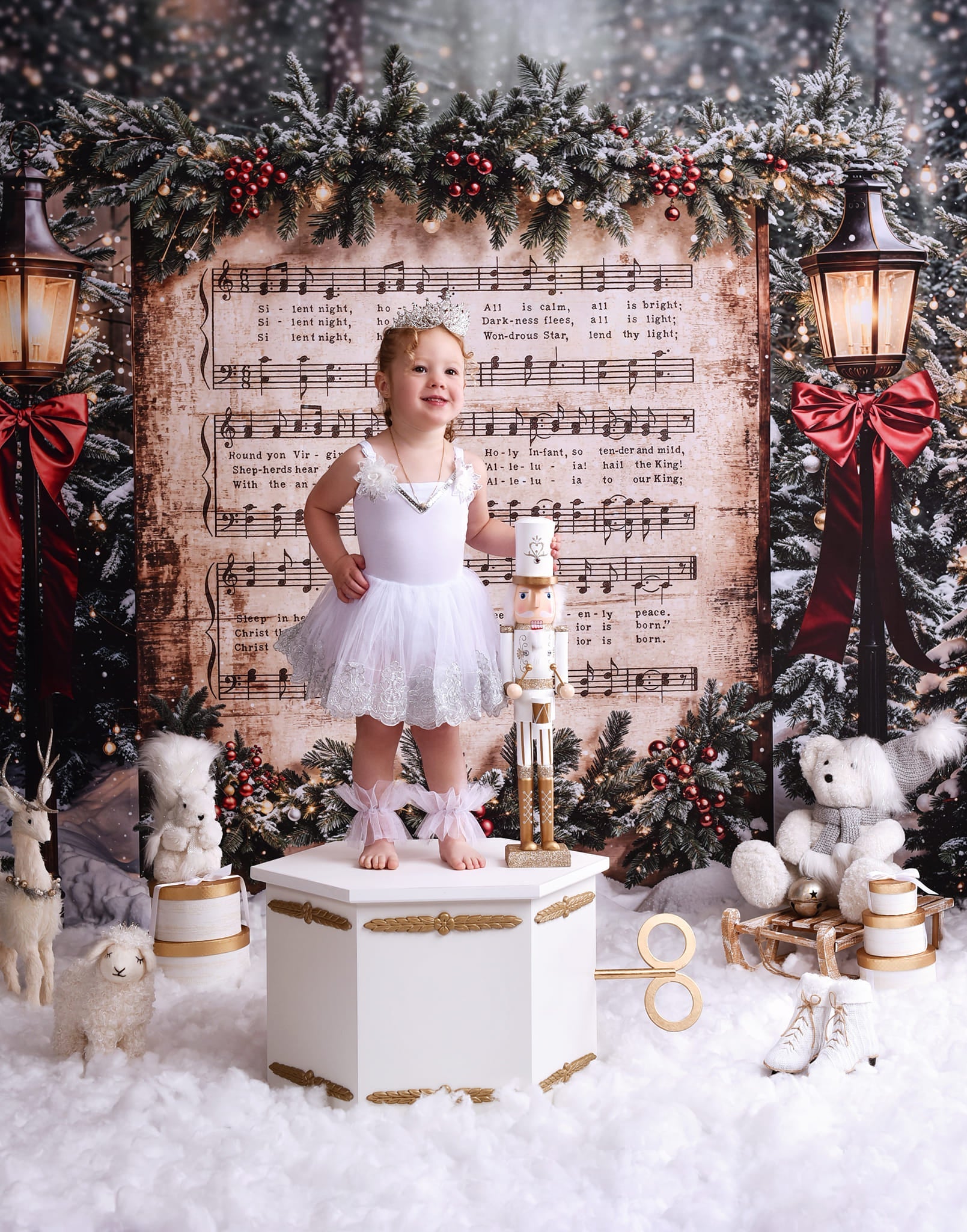Joy To The World Backdrop Snowy Christmas Carol Music Christmas Backdrop UK MRR9-24