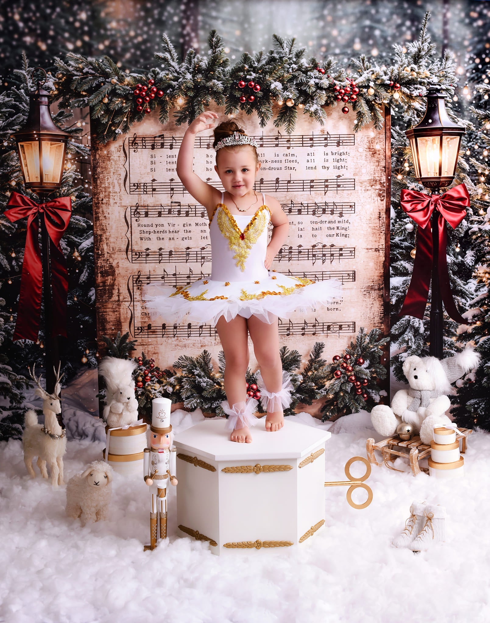 Joy To The World Backdrop Snowy Christmas Carol Music Christmas Backdrop UK MRR9-24