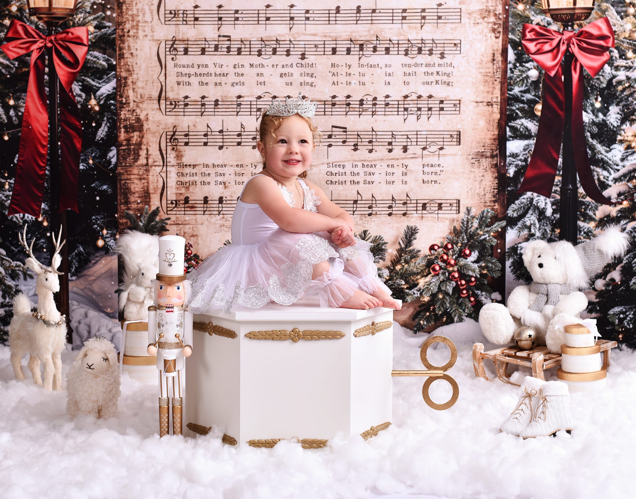 Joy To The World Backdrop Snowy Christmas Carol Music Christmas Backdrop UK MRR9-24