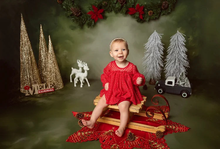 Vintage Backdrop Christmas Garland Pinecones Vintage Photo Backdrop UK MRR9-33