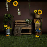 Summer Sunflower Bench Lemon Backdrop RR3-20