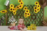 Summer Indoor Sunflower Rustic Backdrop RR3-25