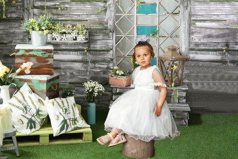 DBackdrop Spring Greenery Potted Plant Flower Wooden Paneled Wall Backdrop RR3-39
