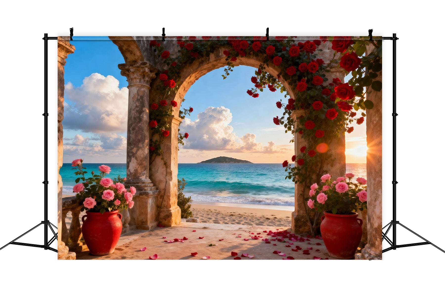 Beach Backdrops Romantic Rose Arch Ocean Summer Photo Backdrop UK RR61-30