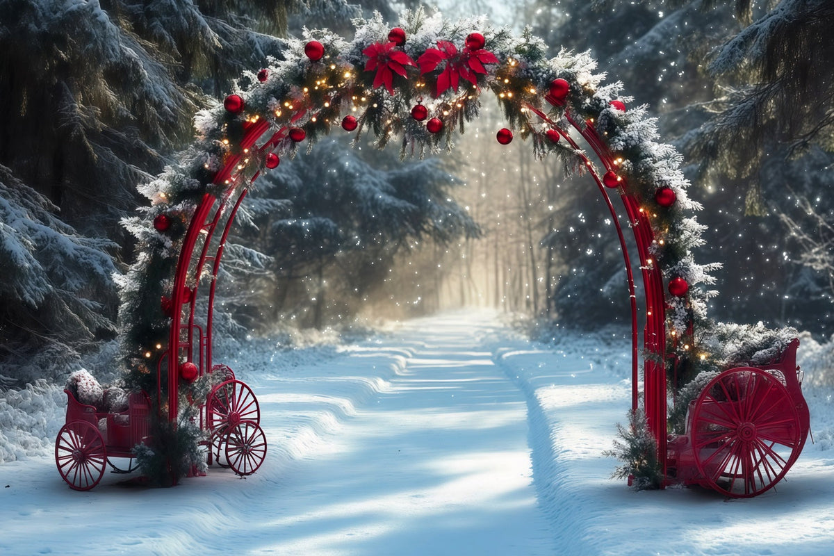 Snowy Christmas Backdrop Red Archway Snowy Carriages Christmas Studio Backdrop UK RR610-138