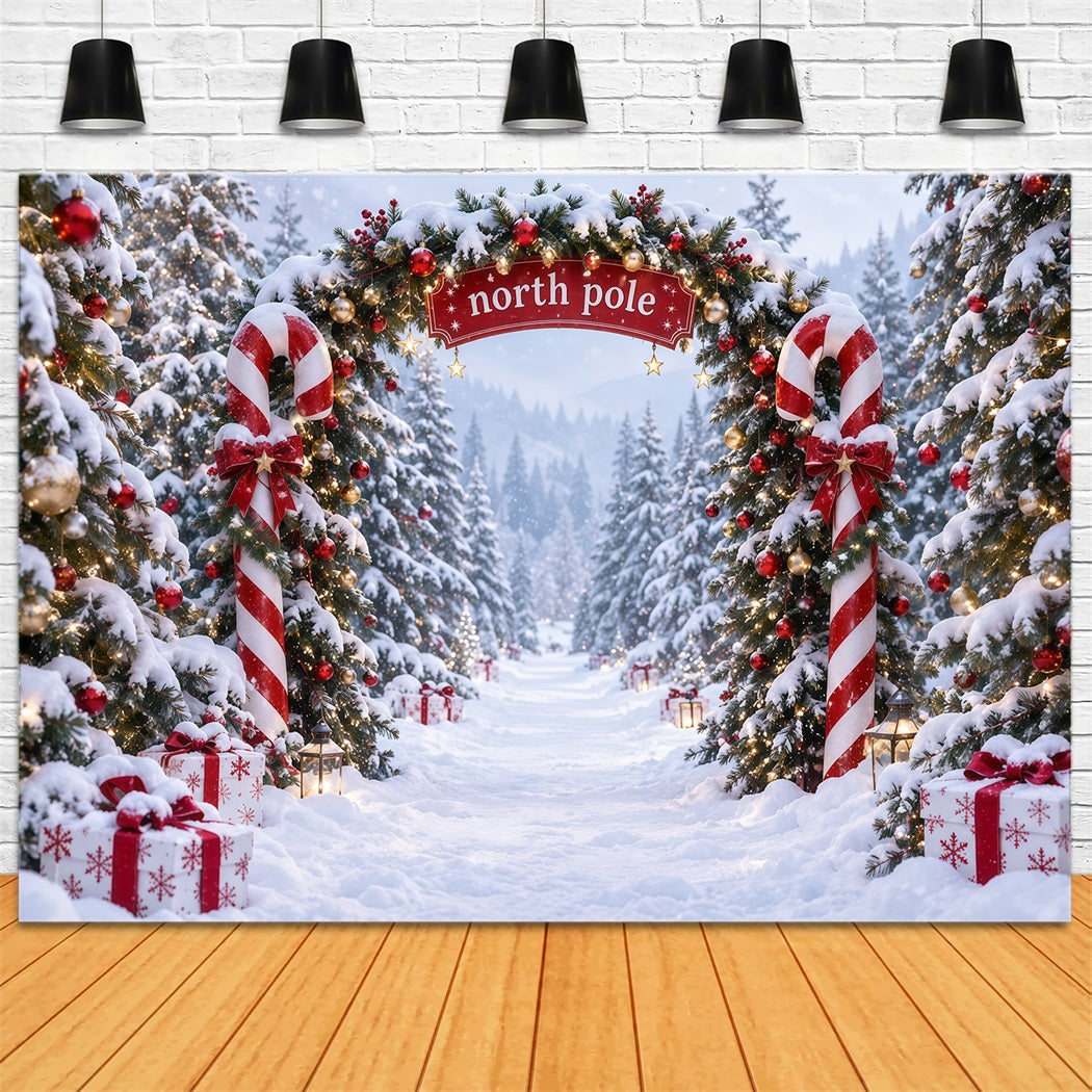 North Pole Photo Backdrop Candy Cane North Pole Christmas Winter Backdrop UK RR610-173