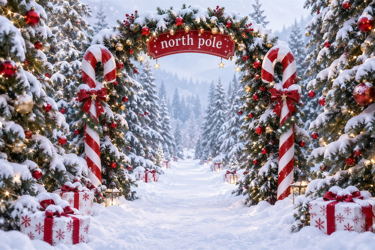 North Pole Photo Backdrop Candy Cane North Pole Christmas Winter Backdrop UK RR610-173