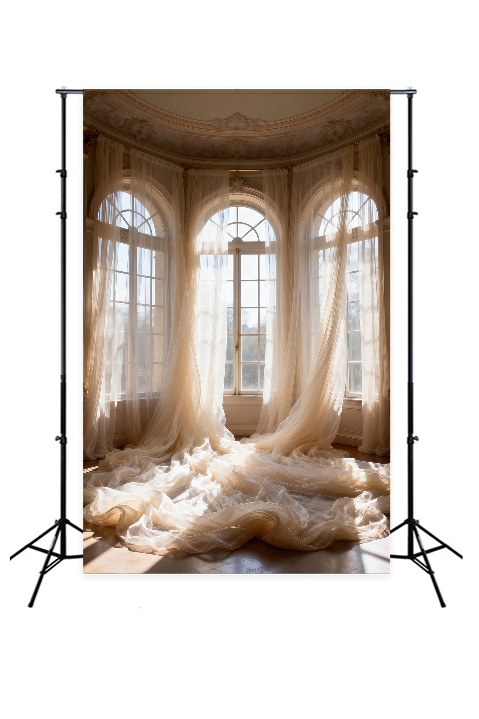 Backdrops For Boudoir Photography Sunlit Sheer Palace Windows Classic Backdrop UK RR62-95