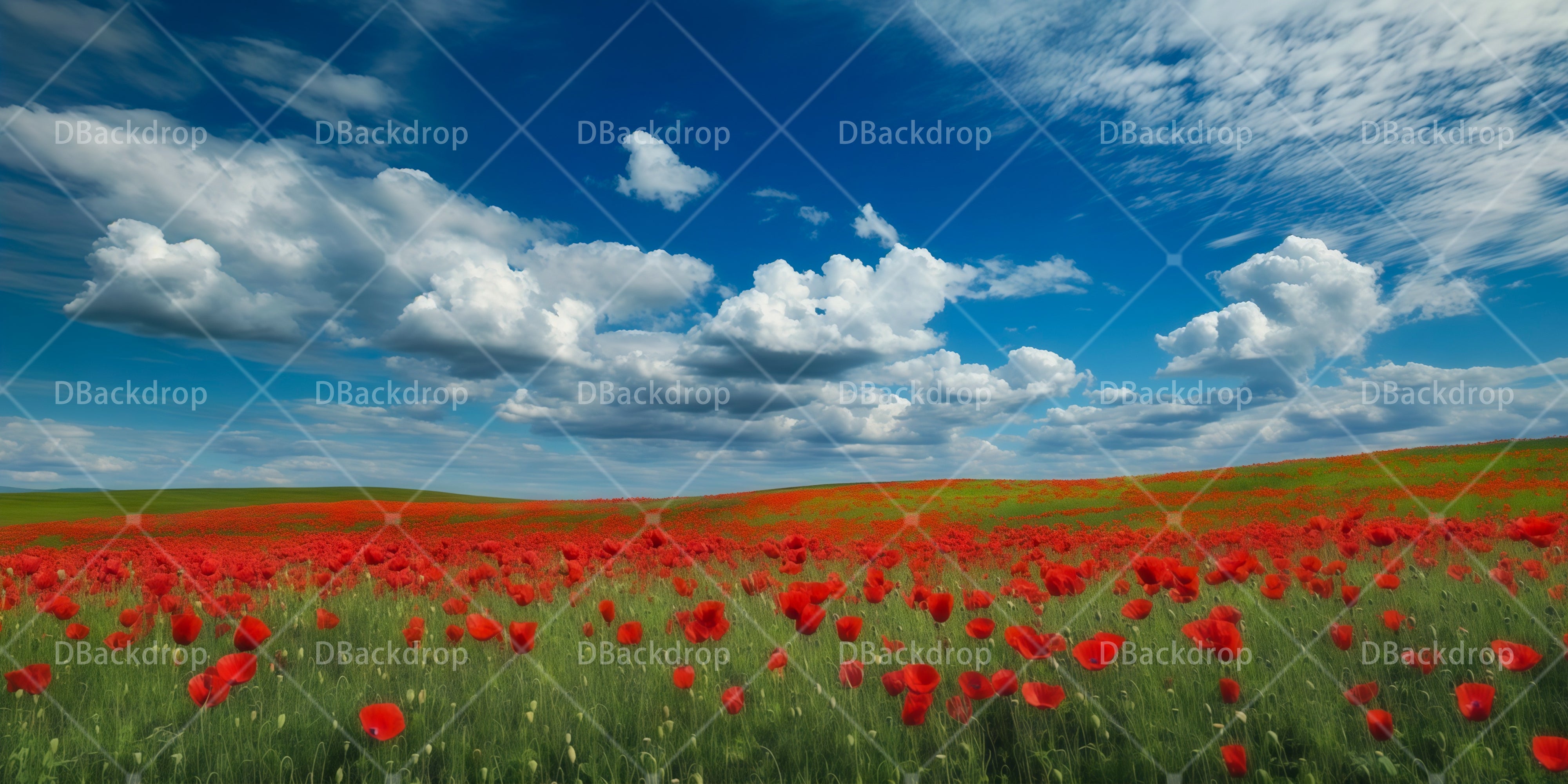 Scenery Backdrops For Theater Poppy Field Theater Backdrop UK RR65-T100