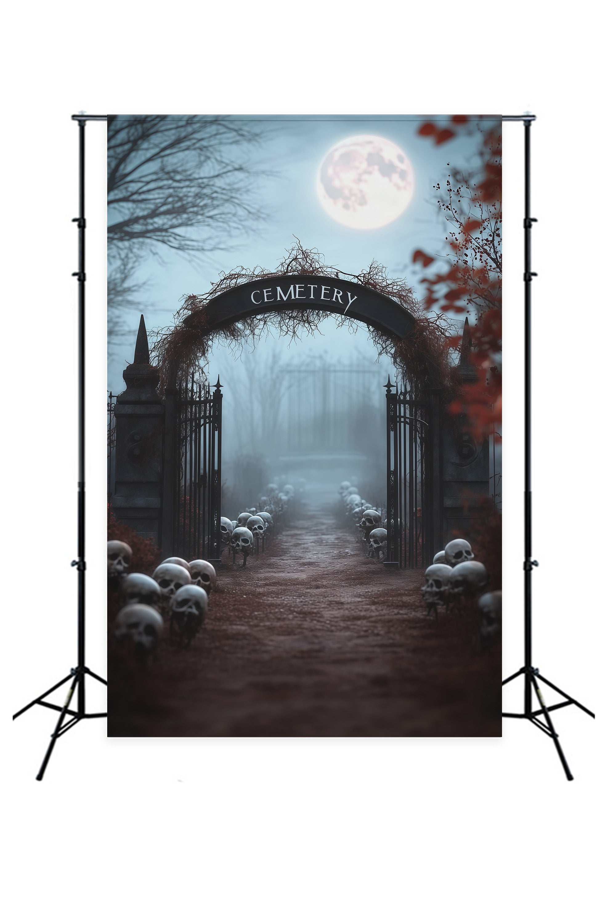 Halloween Outdoor Backdrop Foggy Skull Cemetery Entrance Halloween Backdrops For Photos UK RR67-160