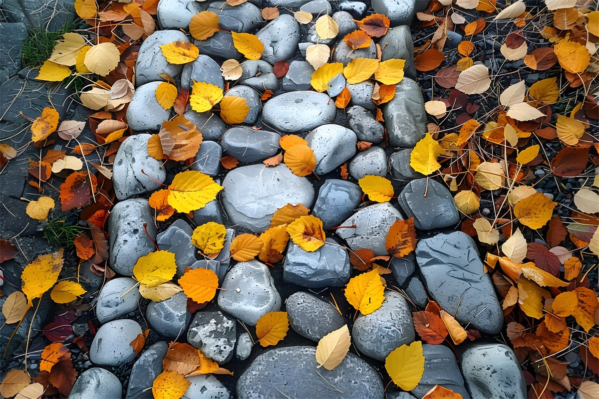 Withered Leaves Cobblestone Trail Floor Backdrop UK RR7-536