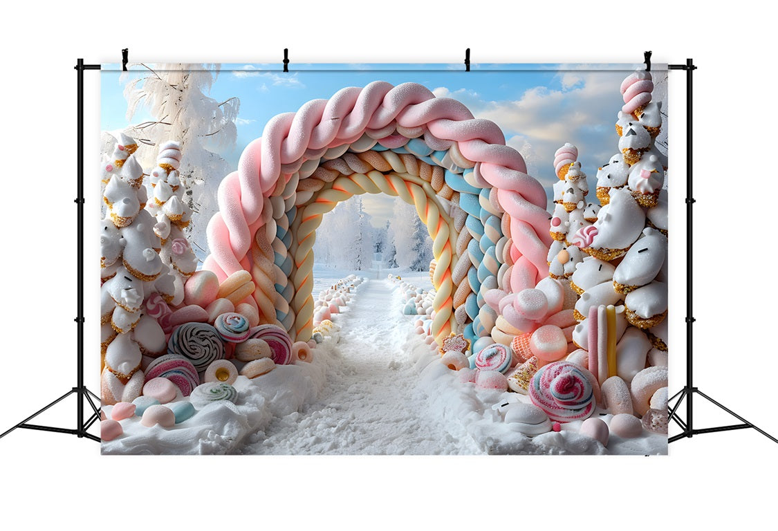 Christmas Elegant Snowy Entrance Lanterns Backdrop UK RR7-701